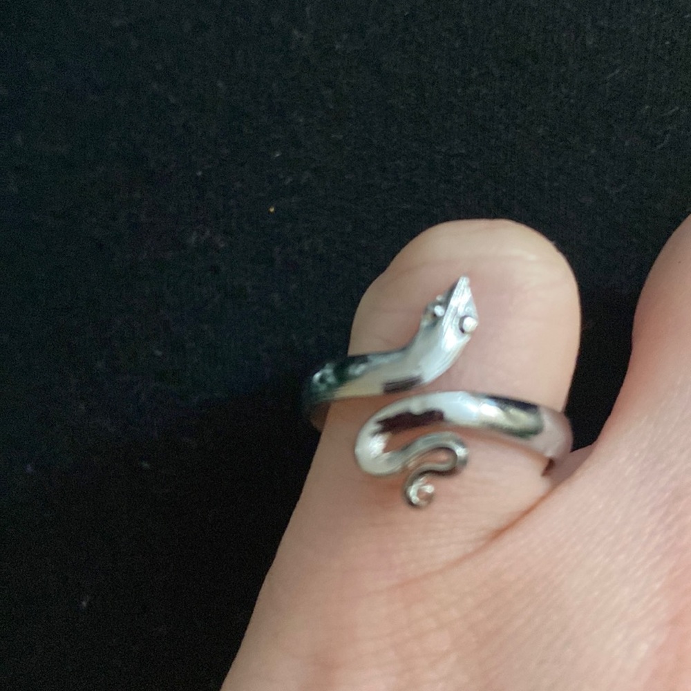 Ring fits all